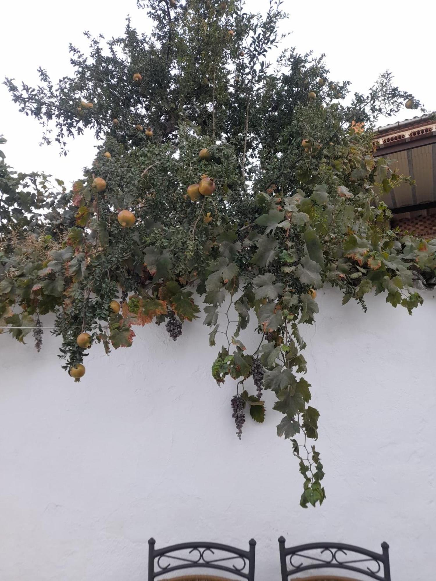 Villa El Molino De Aceite Baeza Exterior foto